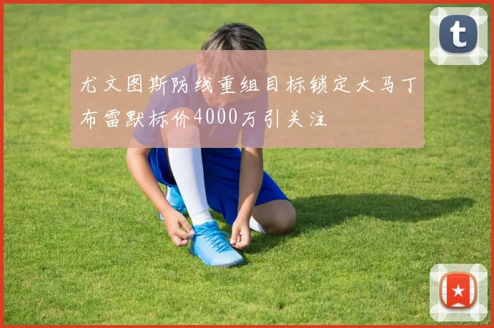 尤文图斯防线重组目标锁定大马丁布雷默标价4000万引关注