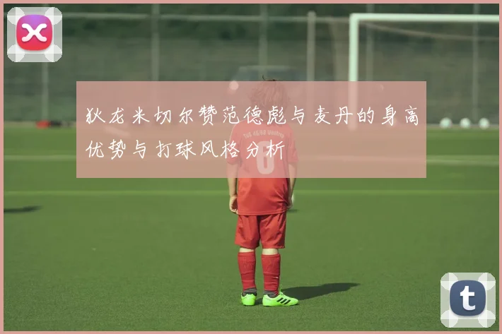 狄龙米切尔赞范德彪与麦丹的身高优势与打球风格分析